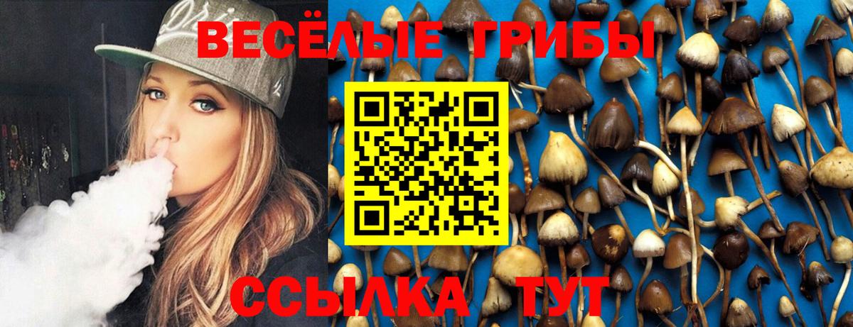 купить  сайты  Псилоцибиновые грибы Magic Shrooms  Гусиноозёрск  Галлюциногенные грибы Cubensis 