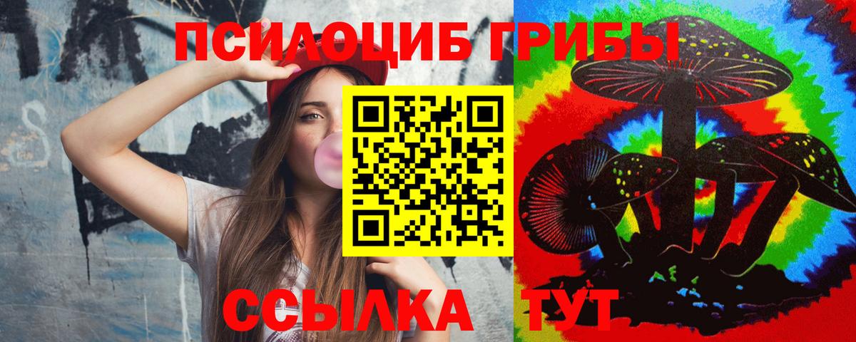 Гусиноозёрск  Галлюциногенные грибы мухоморы  купить наркотики цена  Вход с VPN 